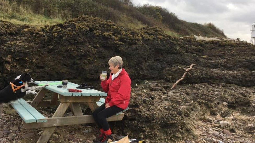 The benches in Portishead