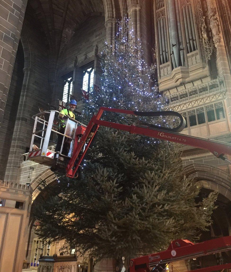 Liverpool Cathedral Christmas tree