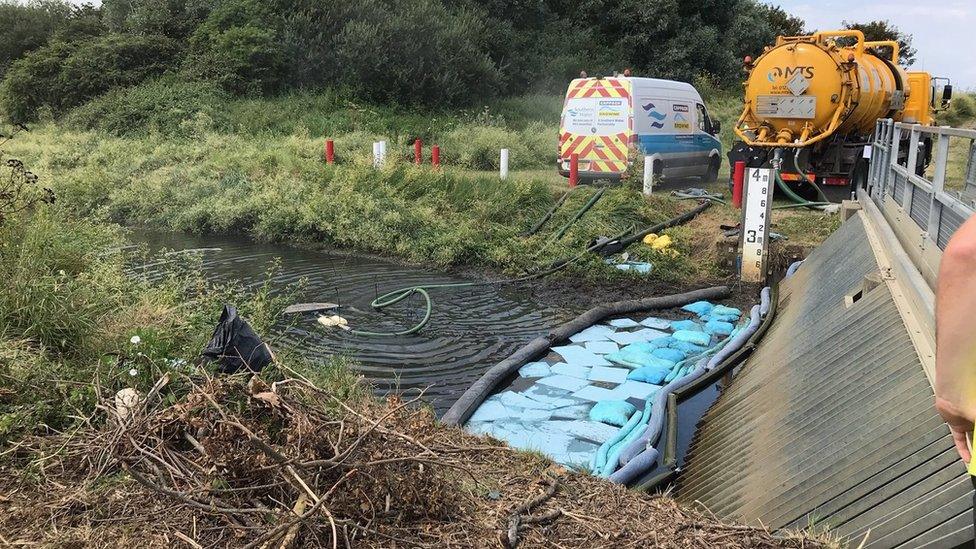 Clean-up at Swalecliffe Brook