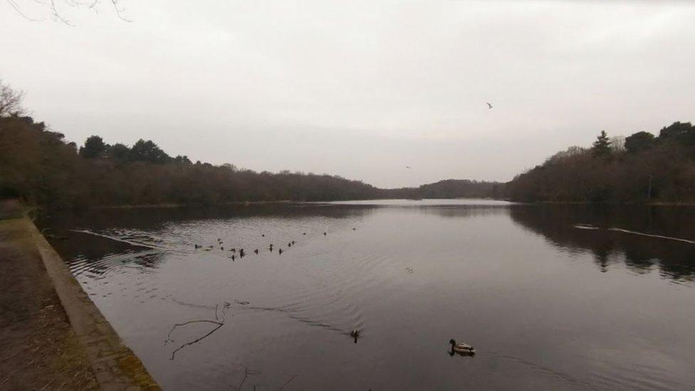 Sutton Park, Sutton Coldfield