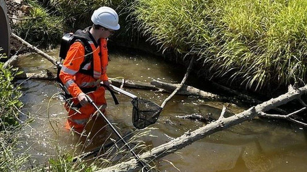 A man is catching fish in a brook using a net