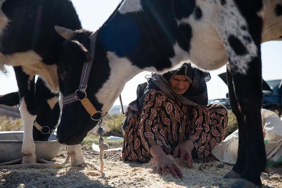 People who live in this part of Afghanistan, like this woman at Siah Ab, are very poor and mostly rely on farming and livestock