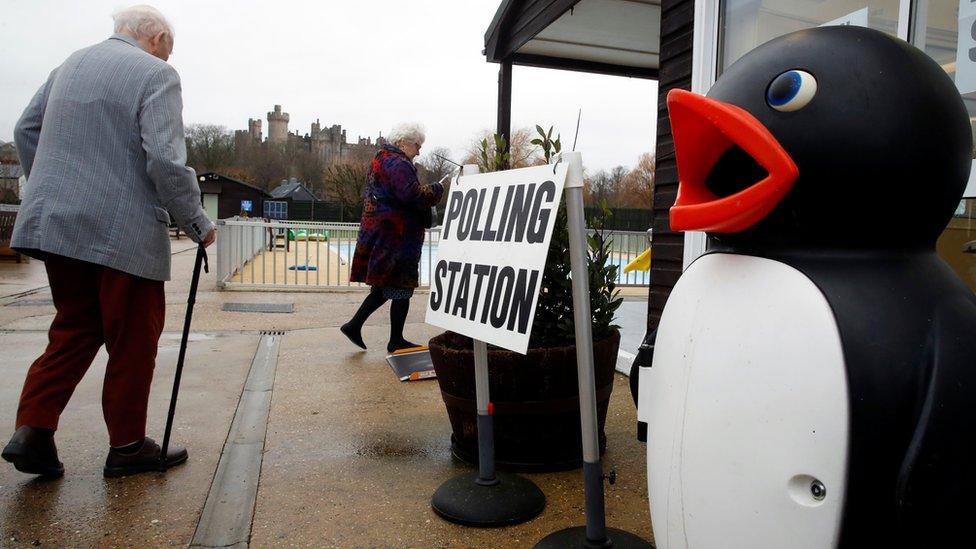 Penguin outside Arundel's lido that is a polling station for the day