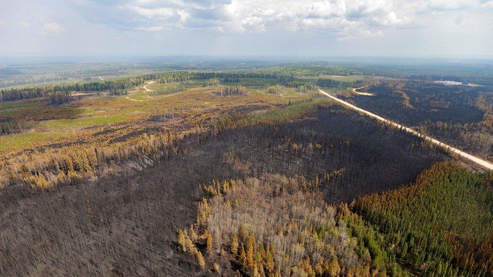 A burnt landscape caused by wildfires in Canada on May 10, 2023.