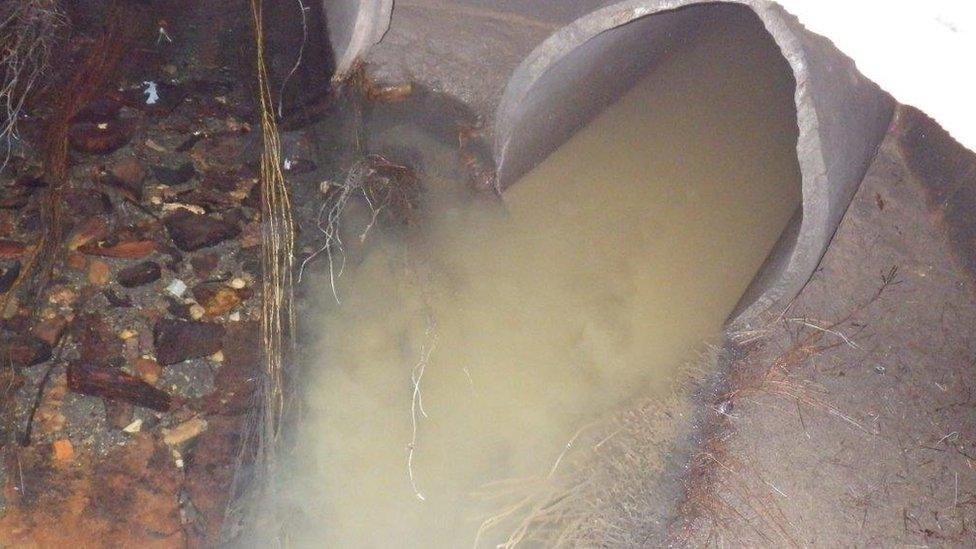 Sewage discharge from the surface water sewer to the Shire Brook