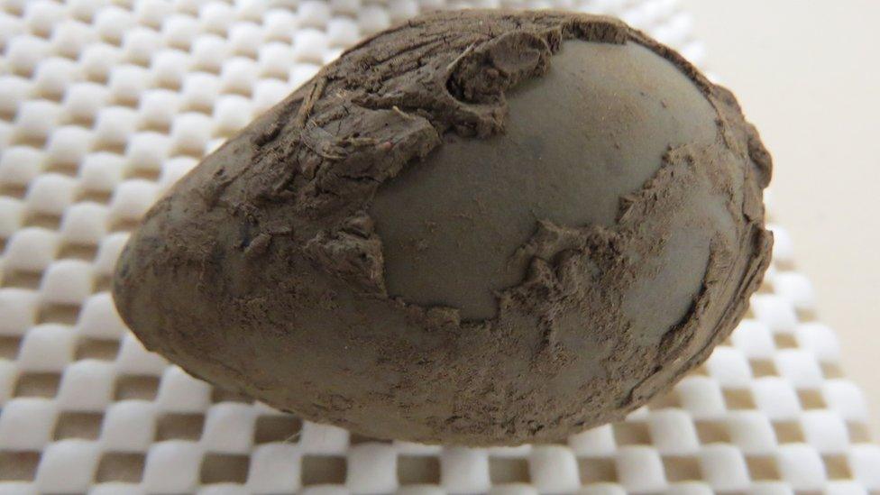 Muddy egg