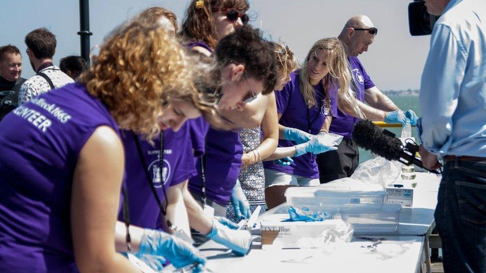 Volunteers sifting through London debris