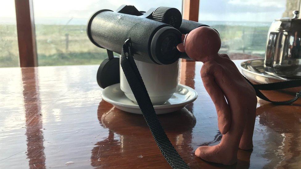 Morph looks through binoculars