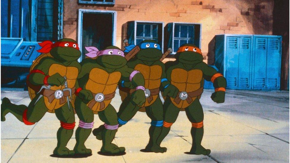 The Teenage Mutant Ninja Turtles