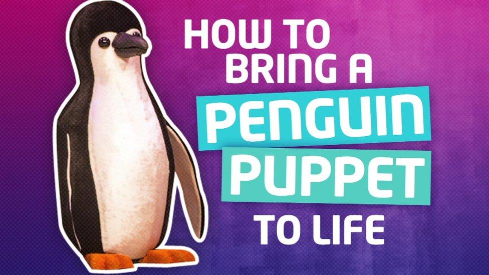 Penguin puppets