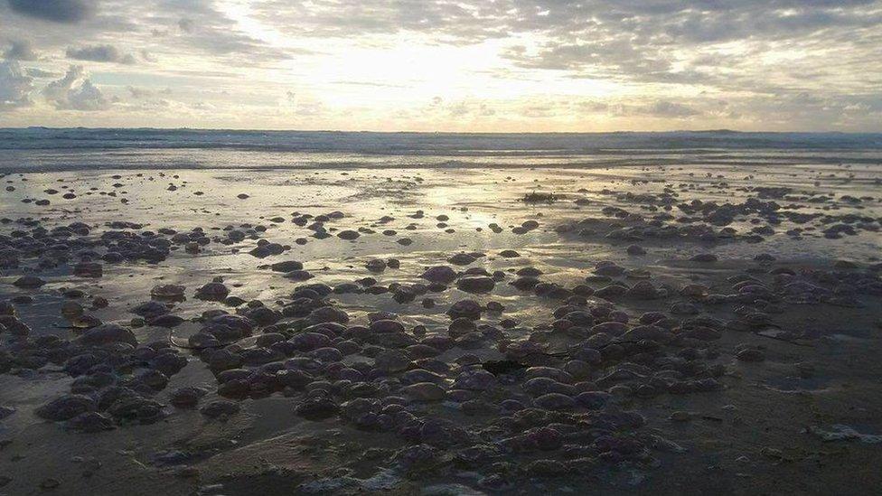 Perranporth beach