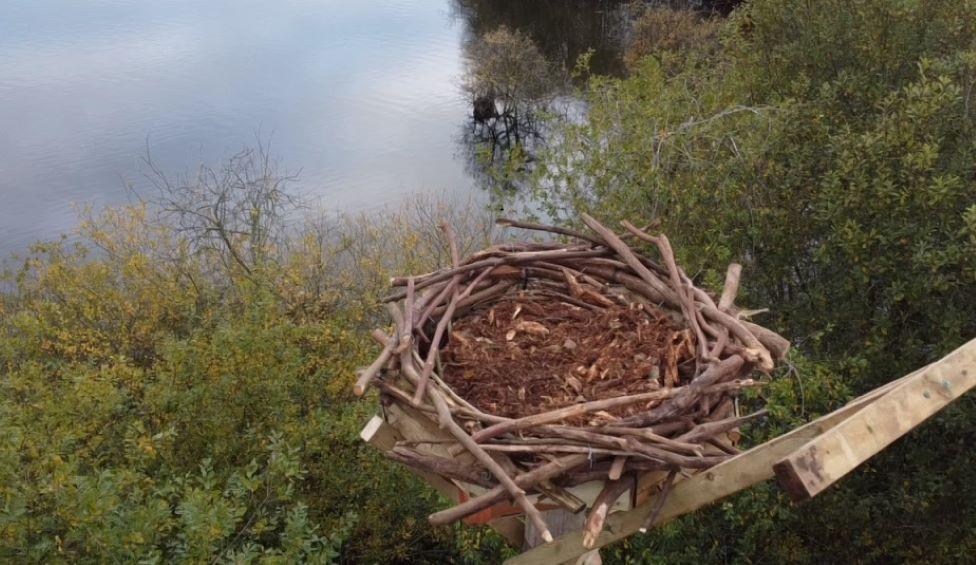 Nest overlooking a lake