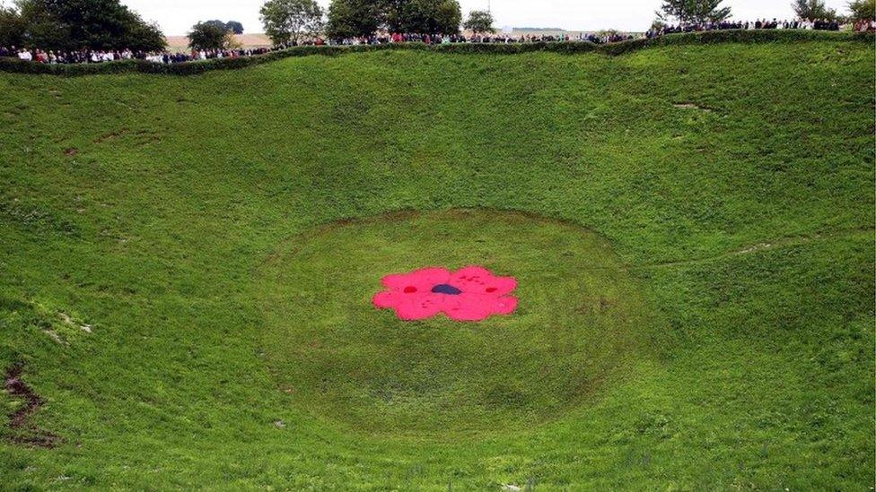 Giant poppy in the Lochnagar crater