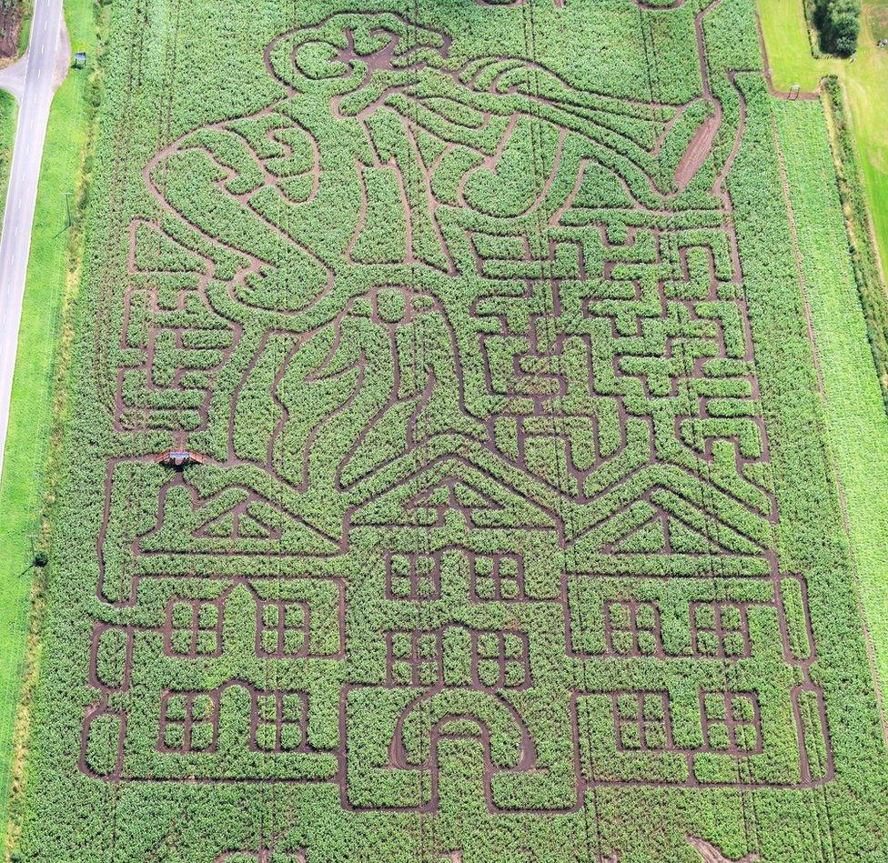 BFG maize maze