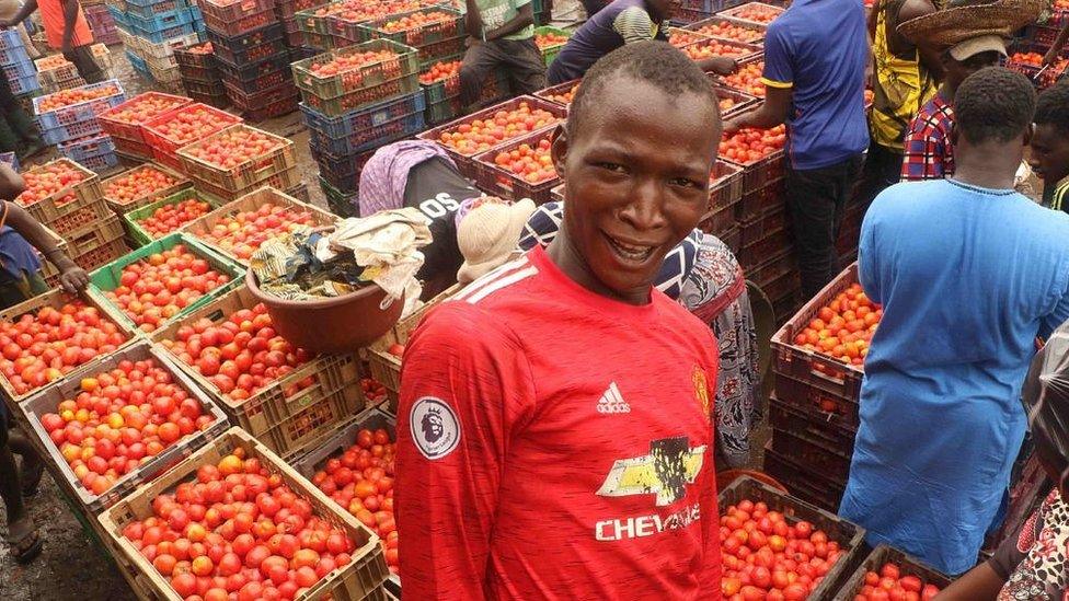 Men packing tomatoes into baskets