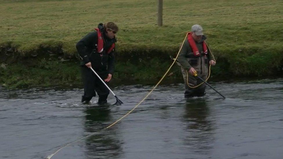 Environmentalists search the river for fish