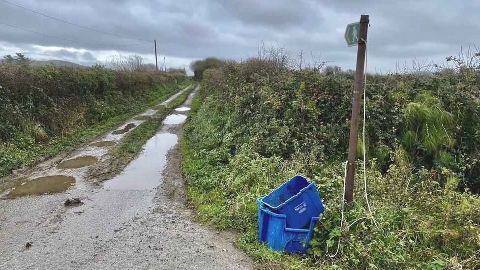 Pathway next to two fields