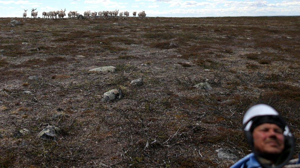 Land in the Arctic as melting ice allows the region to open up to shipping and industry