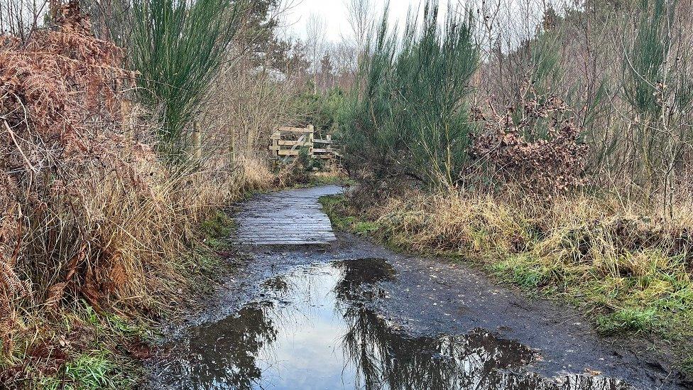 A flooded footpath in Bracknell Forest