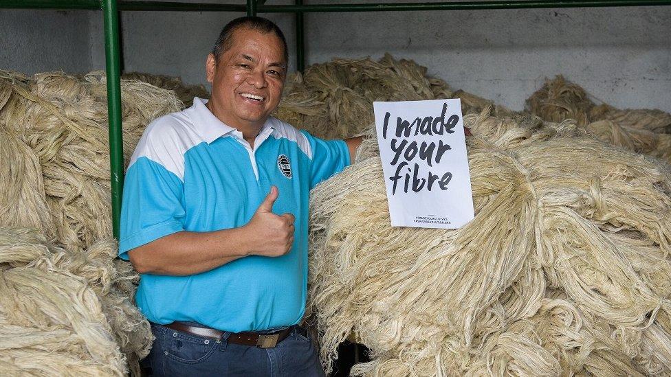 Fibres made from pineapple leaves