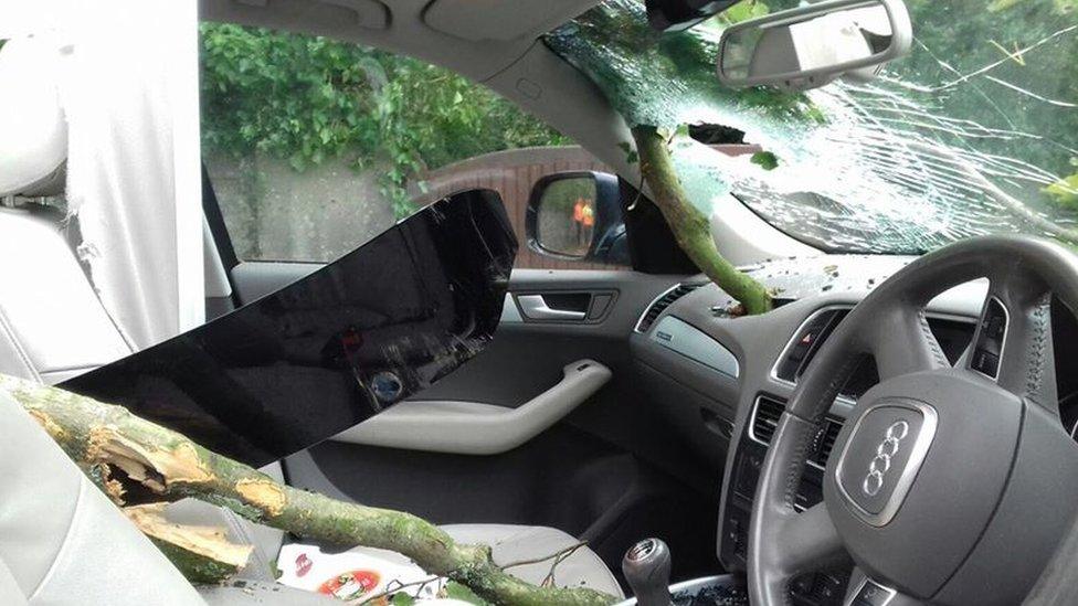 Tree smashed down through car roof