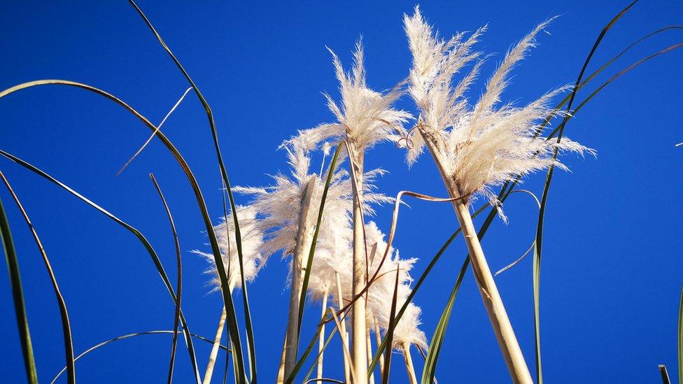 Blue skies in Dawley, in Telford