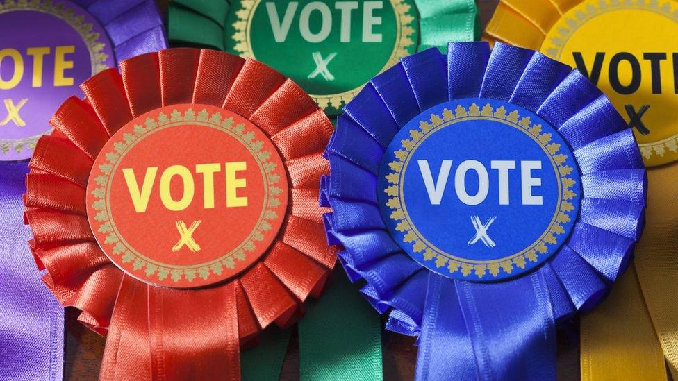 Election rosettes