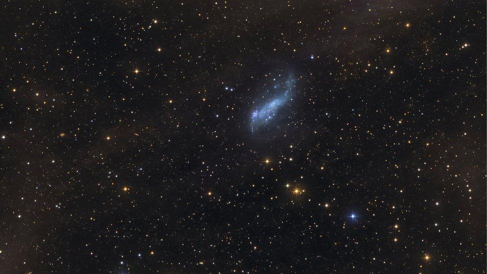 Coddington's Nebula, a faint dwarf galaxy in the constellation Ursa Major