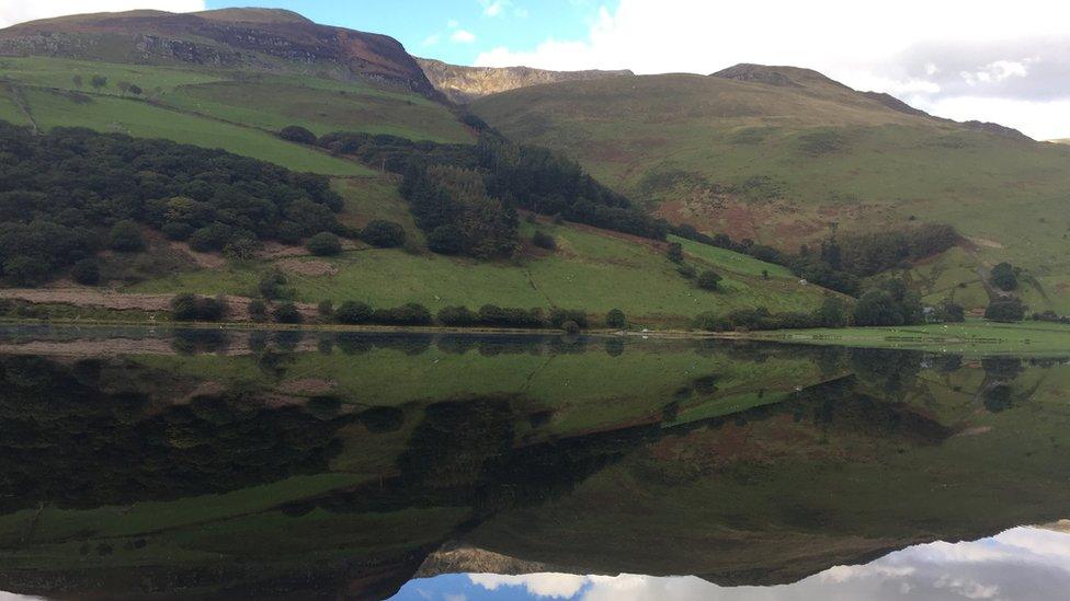 Mirror image: Lynn Hughes captured the reflection on Talyllyn lake, Gwynedd, for our Pic of the Day