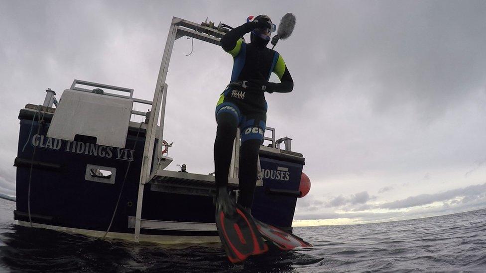 Rebecca Morelle jumping in sea