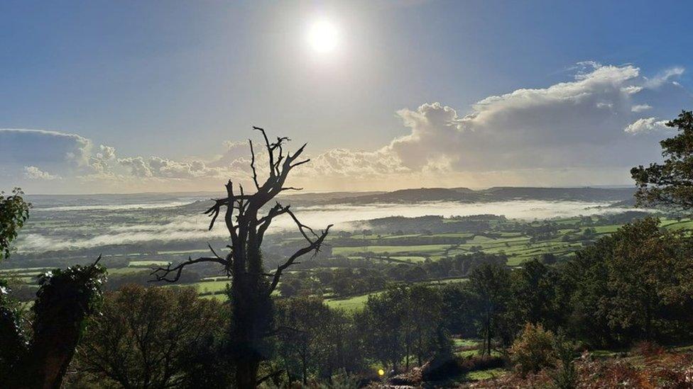 THURSDAY Marshwood Vale