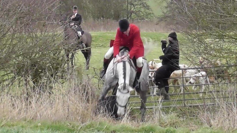 Still from video footage filmed by Hertfordshire Hunt Saboteurs