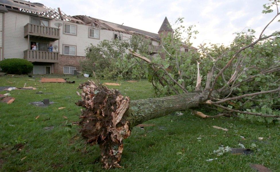 A downed tree near a home