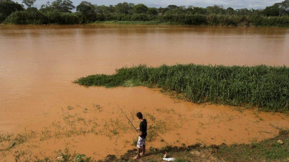 Rio Doce pollution in Linhares, Brazil, 21 Nov 15