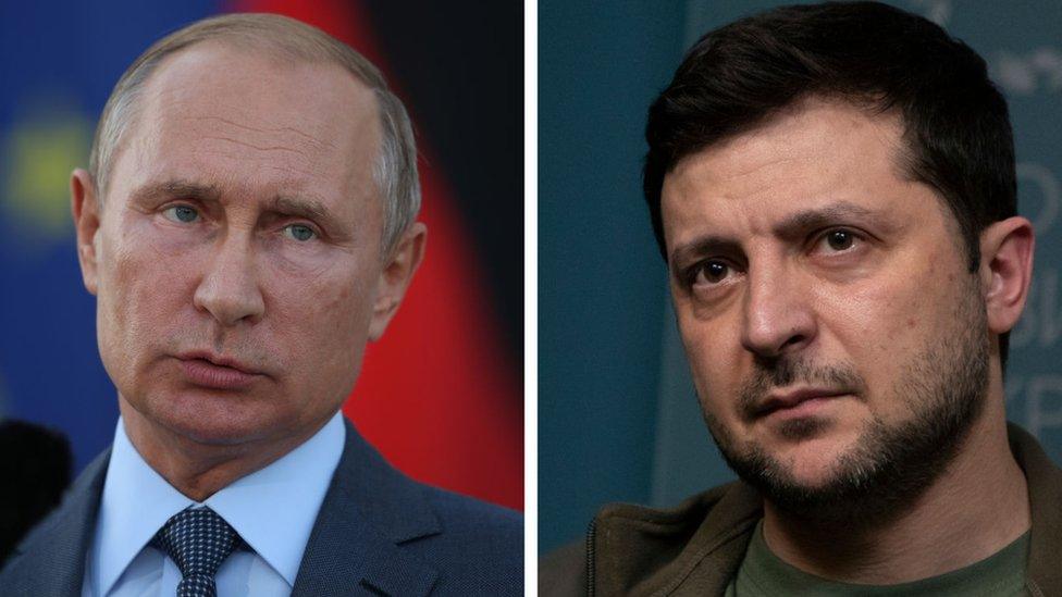 putin-and-zelensky.