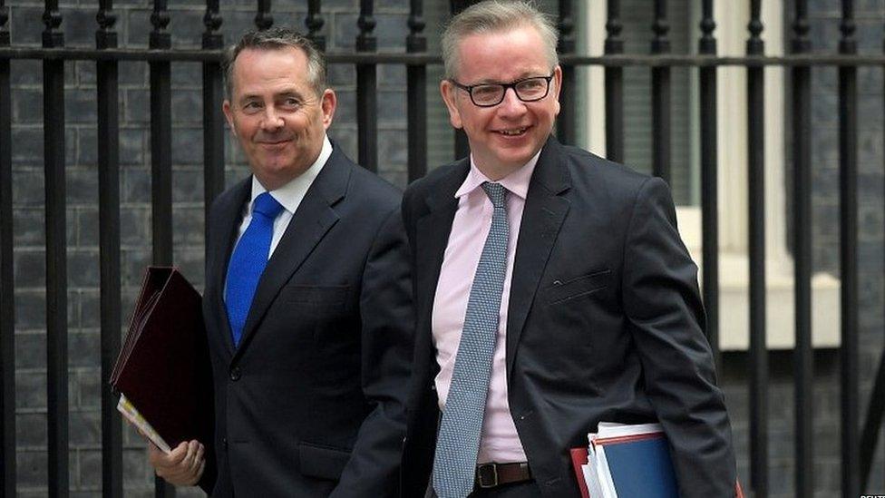 Liam Fox and Michael Gove