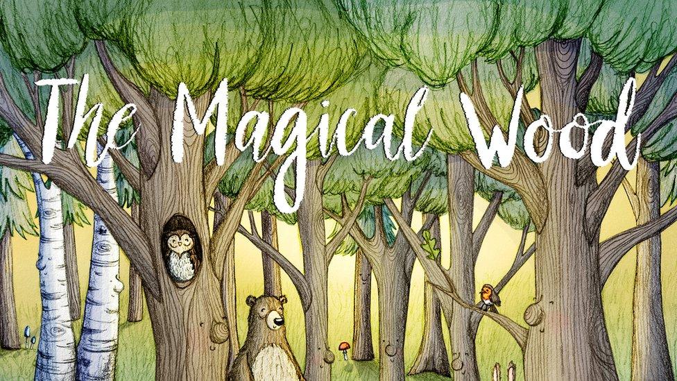 The Magical Wood