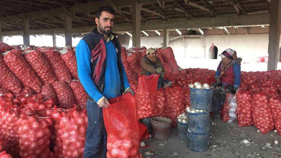 Polatlıda soğan işçileri