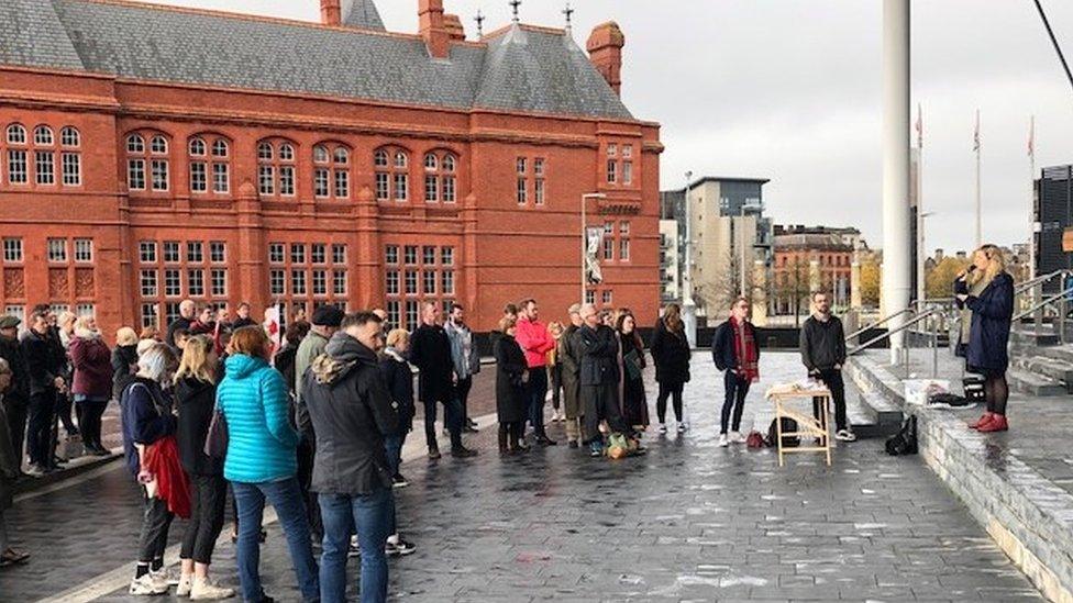 Senedd protest