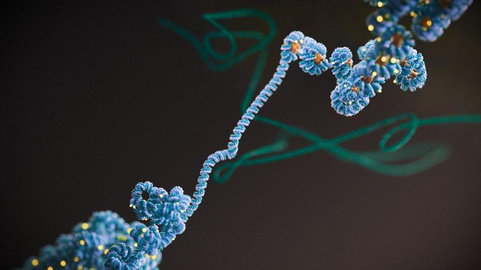 The image shows DNA wrapped around histones (orange). The epigenome is governed by changes to the 3D structure of DNA, which can be thought of like a piece of knotted string.