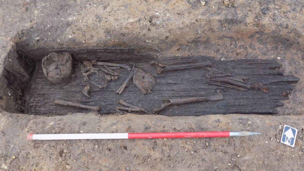 Skeleton in wooden coffin, Great Ryburgh, Norfolk