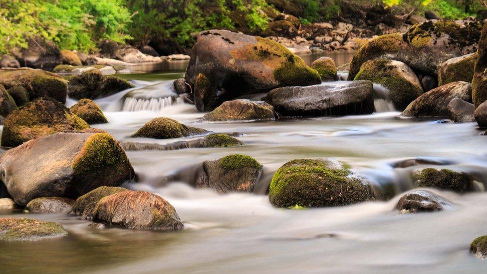 Afon Dwyfor