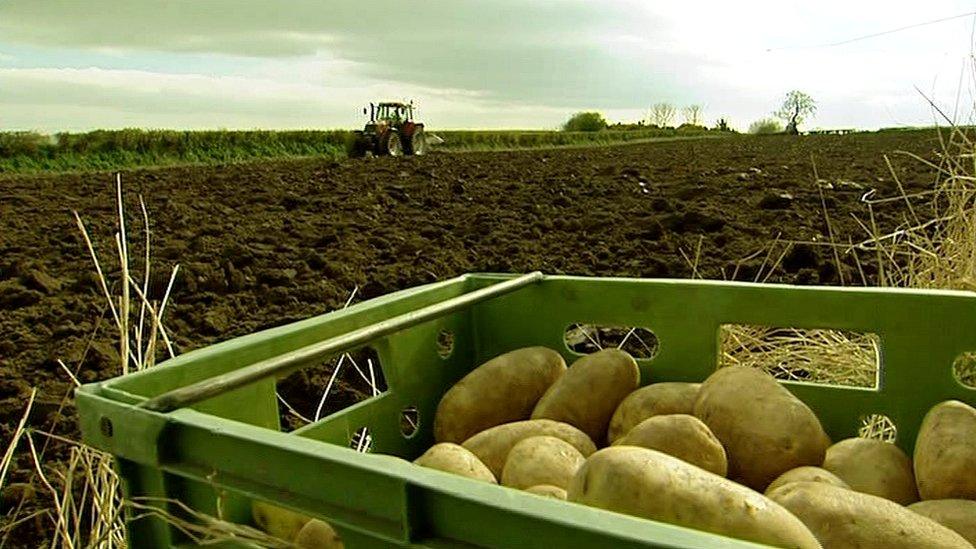 Farm tractor