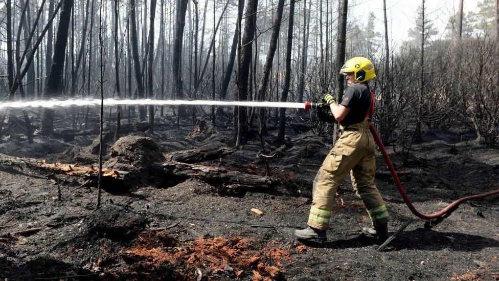 Firefighters tackle the blaze at Wareham Forest on May 23, 2020 in Wareham, England