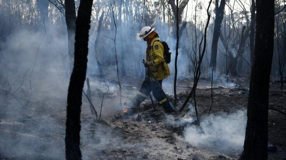 A firefighter tackles bushfire in Sydney's northern suburb of South Turramurra. Photo: 12 November 2019