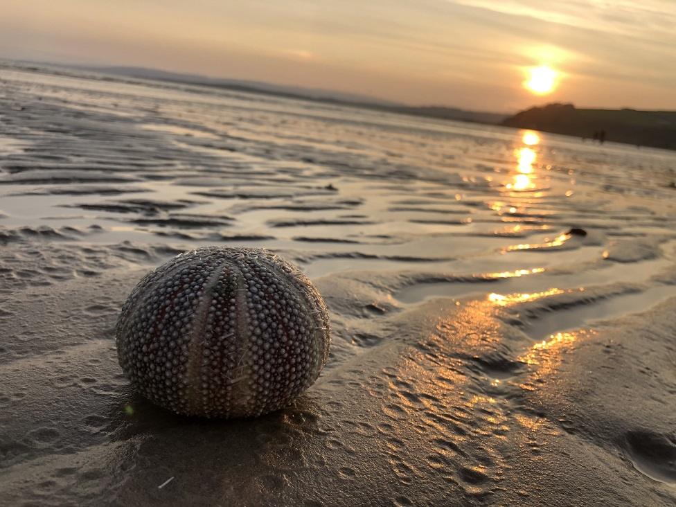 Ettrick Bay