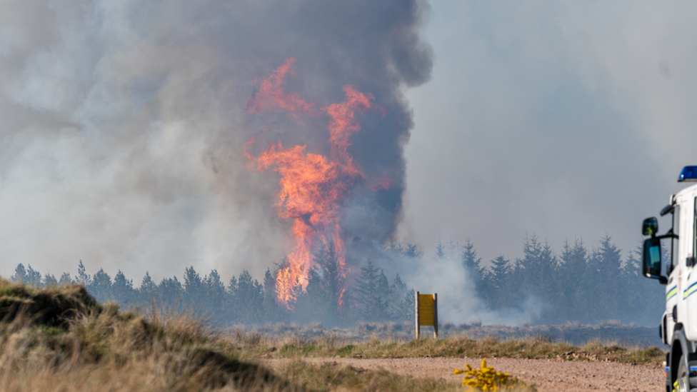 burning heather and woodland near Dunphail, Forres