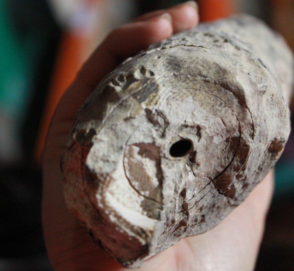 Ancient tusk from the shipwreck (c) Alida de Flamingh