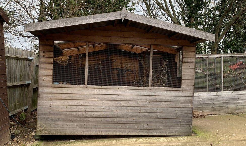 The enclosure the marmosets are kept in