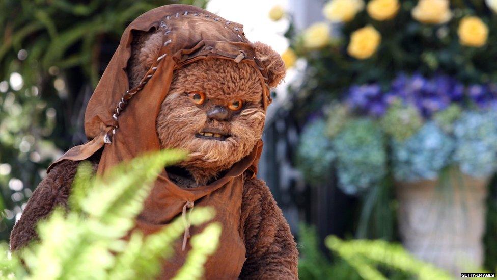 A model of an Ewok